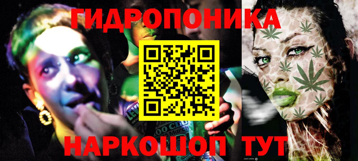 Марихуана OG Kush Братск